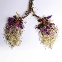 coronavirus lungs
