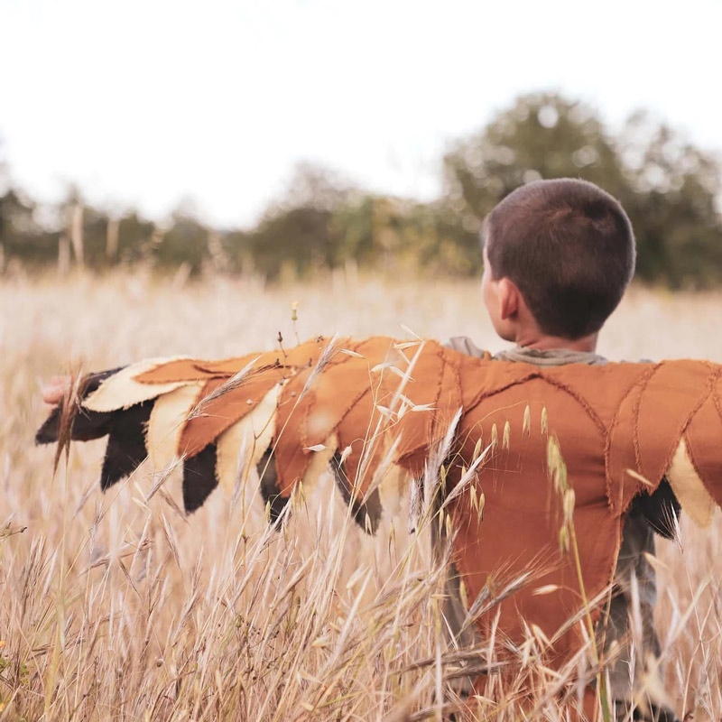 bird wings for kids